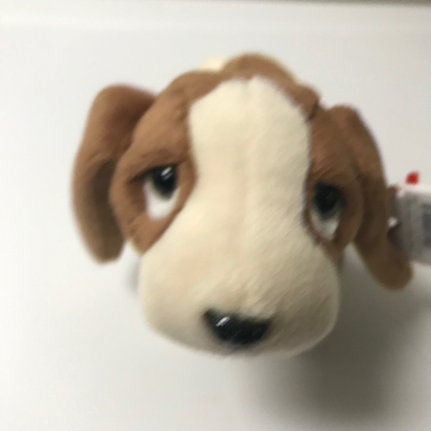 Beagle sales beanie baby